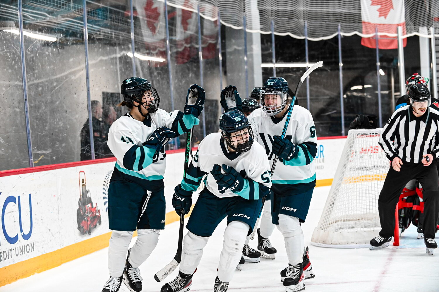 Professional Women's Hockey League Is Coming To UBS Arena | Herald ...